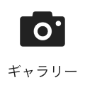 gallery icon