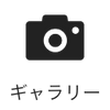 gallery icon